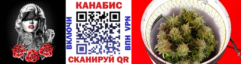 Бошки марихуана гибрид Тихвин